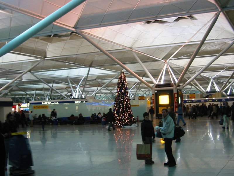 Structural trees and terminal interior at London Stansted Airport designed by Foster